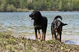 BEAUCERON 700